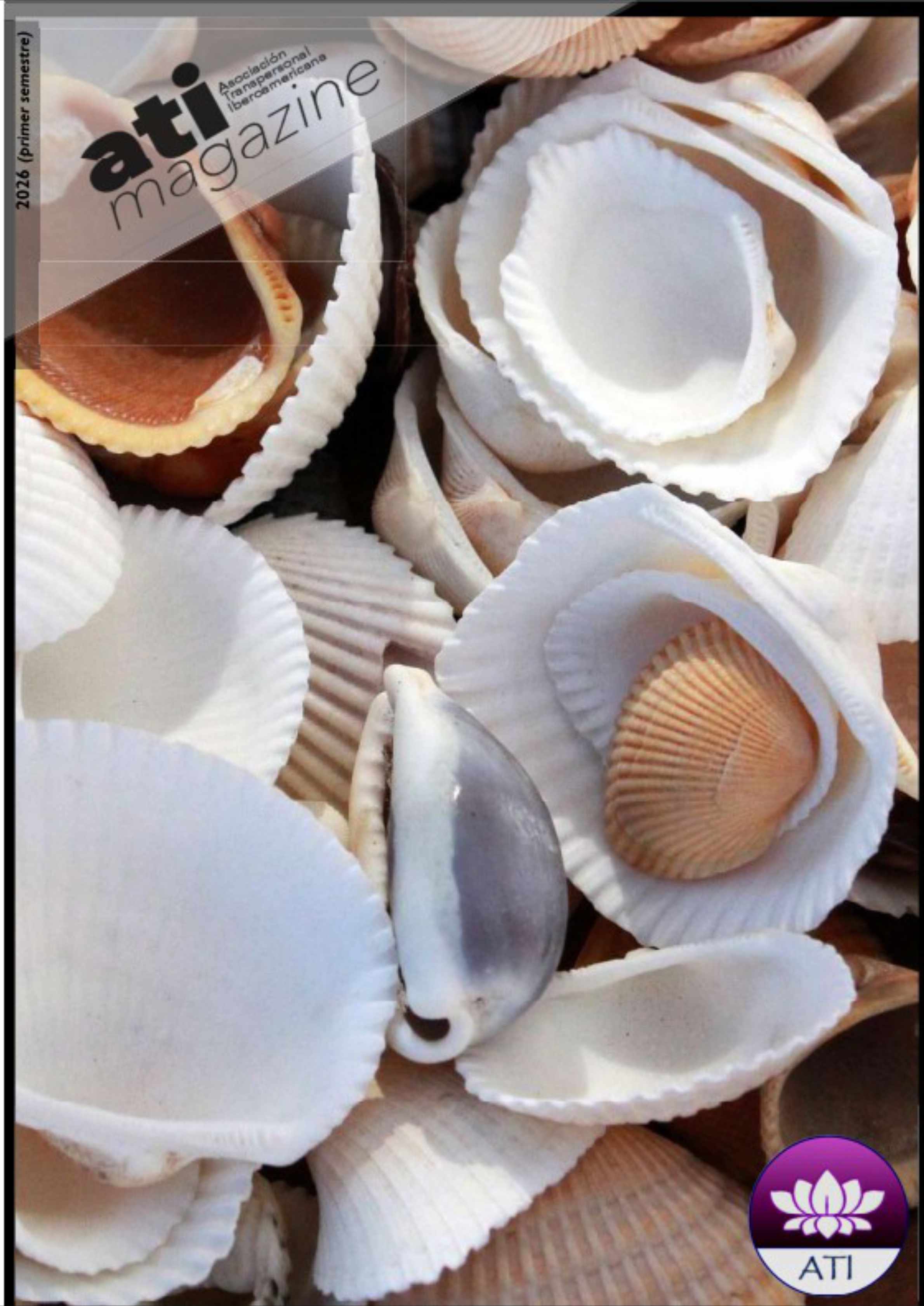 ATI Magazine XVI 2026